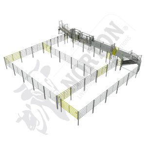 CATTLE-YARD-PERMANENT-ROUND-PIPE---80---100-HEAD-N-FORCE-SAFE-WORK-AREA-SHEETED