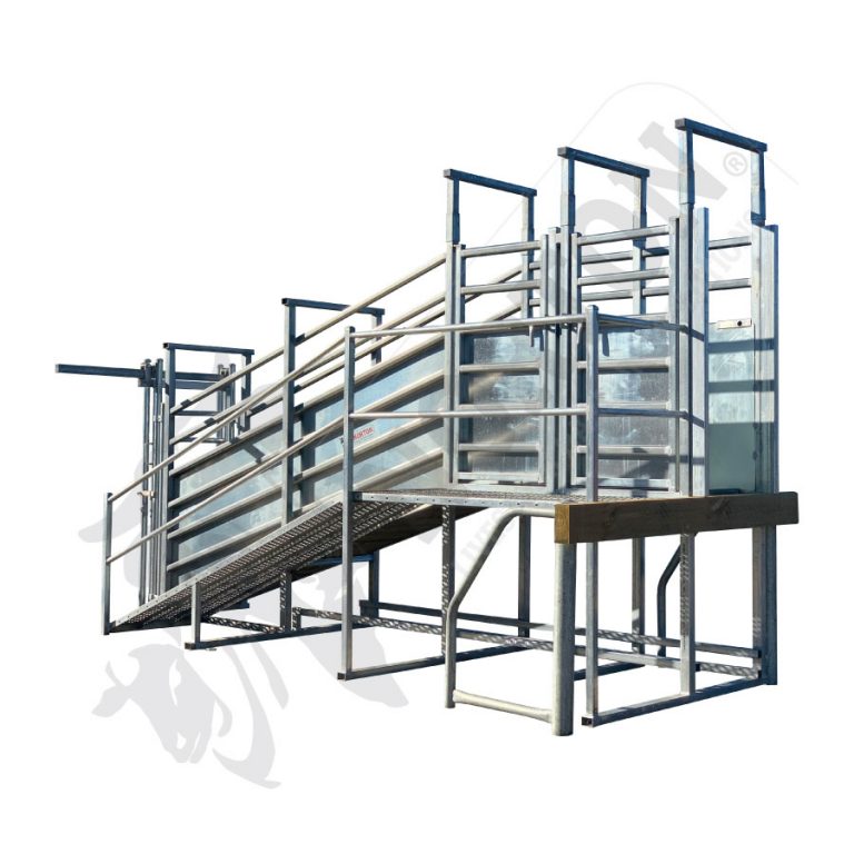 Cattle Archives - Norton Livestock Handling Solutions