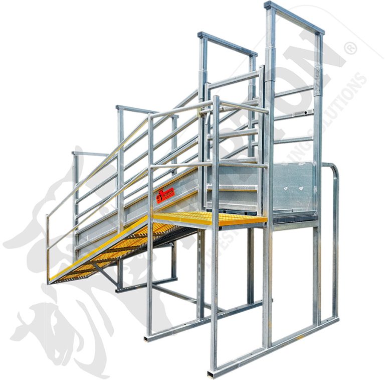 Cattle Archives - Norton Livestock Handling Solutions